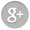 Google+